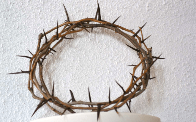 crown of thorns