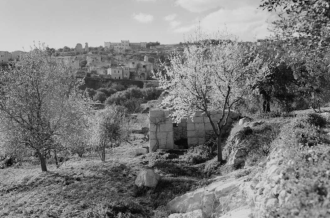 matthew 26 1-16, bethany