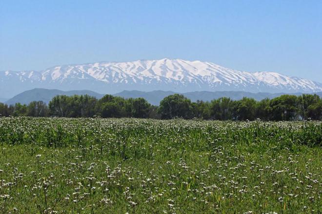 mount hermon, looklex