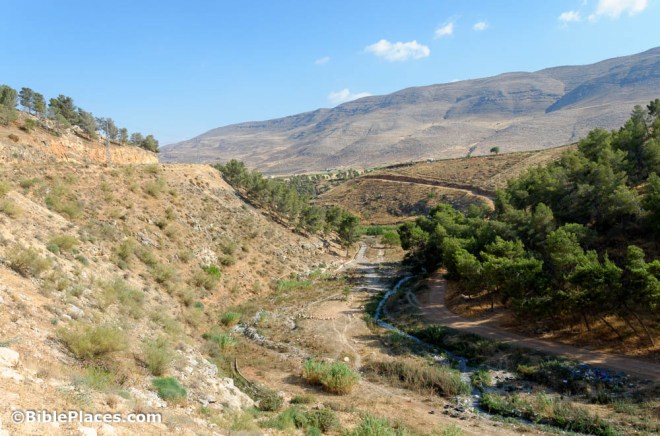 wadi farah from the northwest (the way abraham would have come into the land towards shechem)